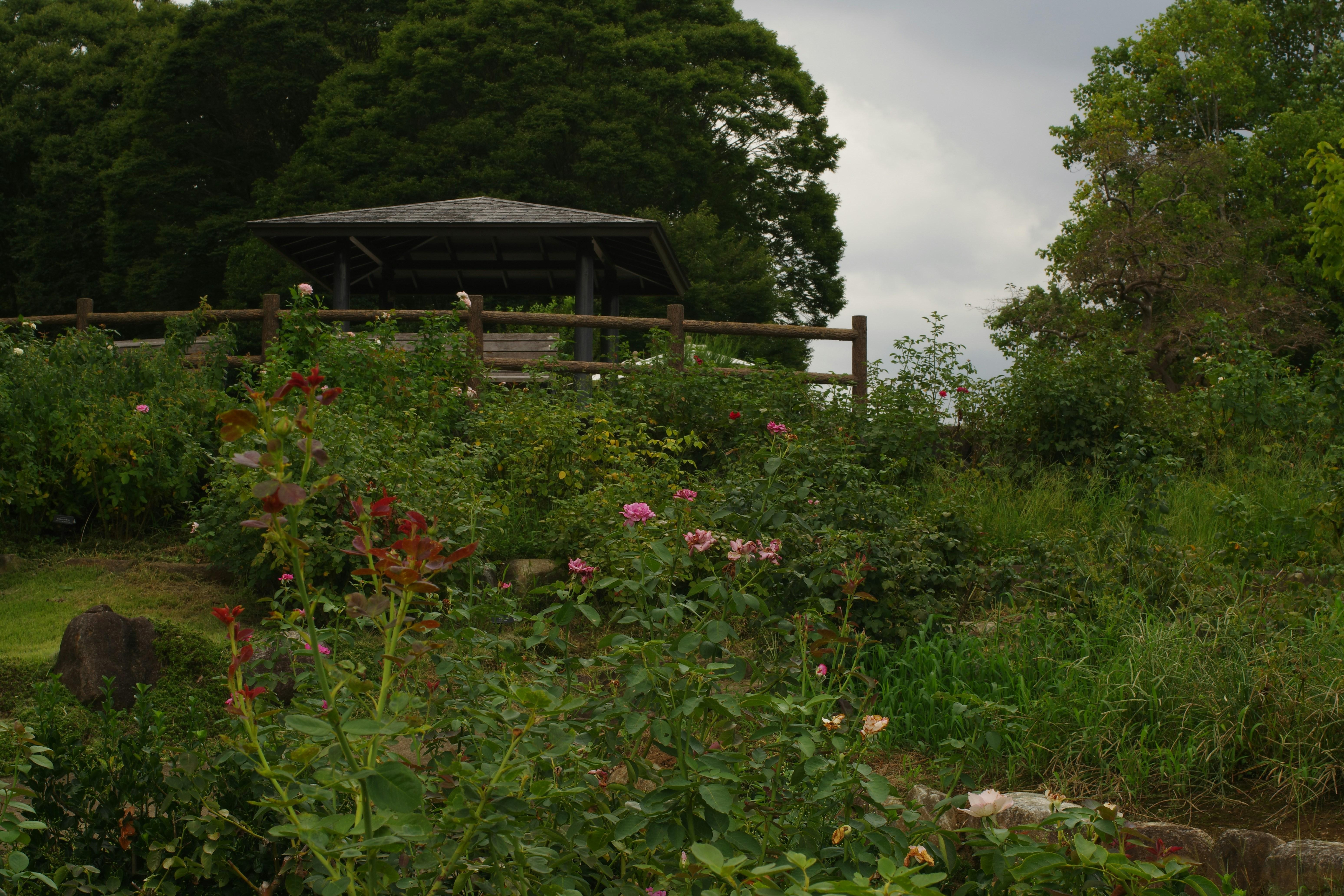 踏入懷石料理餐廳的必備指南