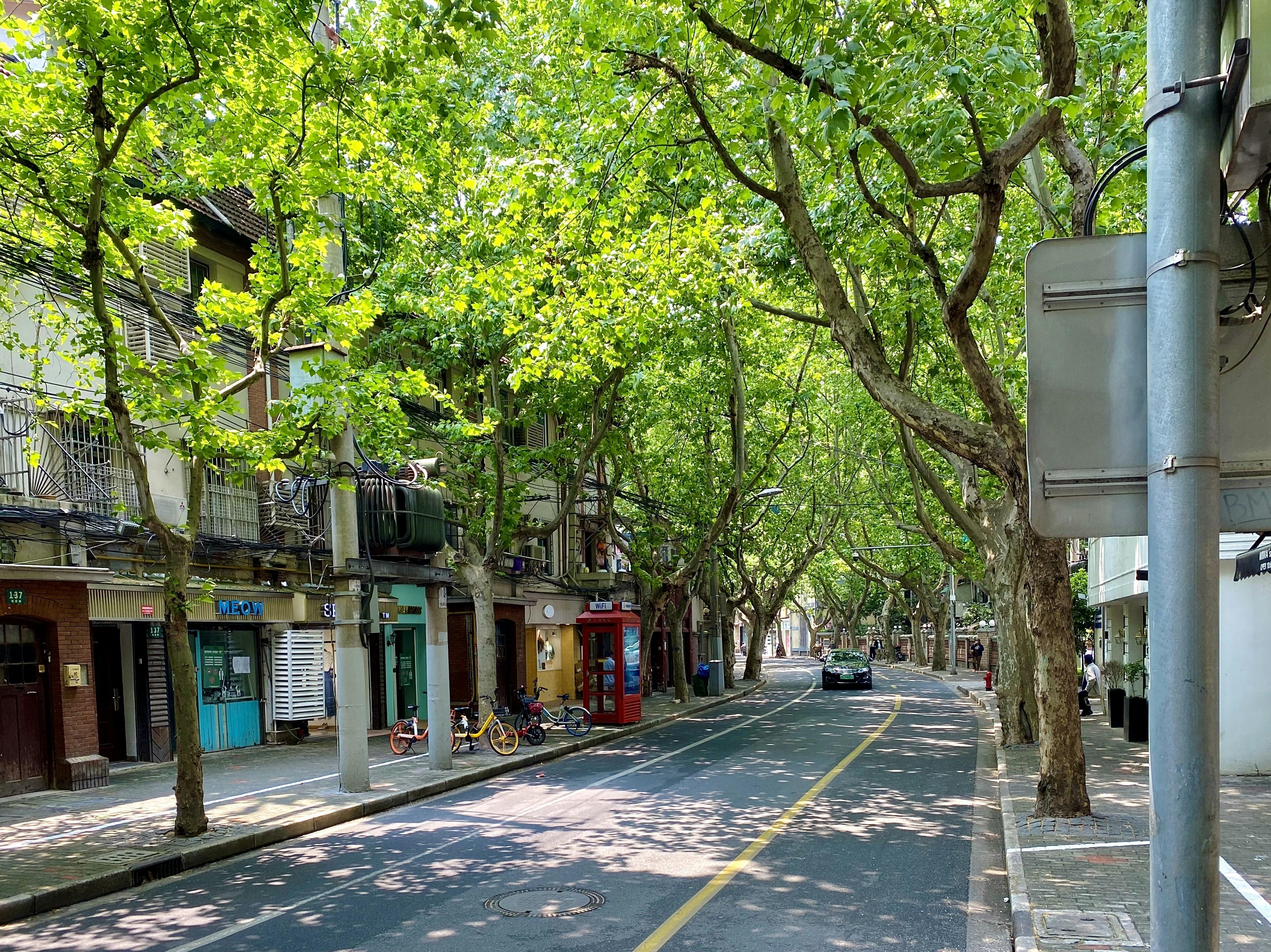 精緻的季節性食材搭配藝術